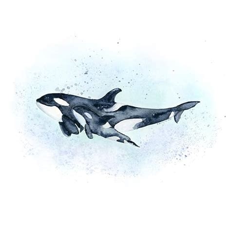 Amazon.com: Mom and Baby Orca Whale Watercolor Print, Killer Whale Painting, Ocean Nursery Decor ...