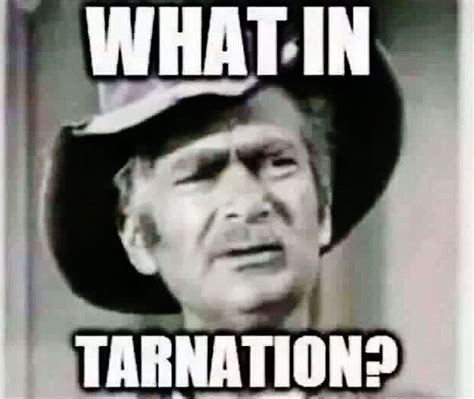 Jed Clampett: what in tarnation? | Southern sayings, Funny quotes ...