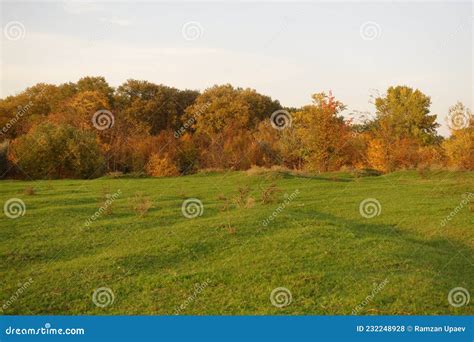 AUTUMN LANDSCAPE PHOTOGRAPHY Tips and Techniques Stock Photo - Image of nature, grass: 232248928