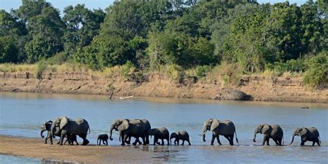 African Rivers: Africa's Best Rivers For Wildlife Viewing