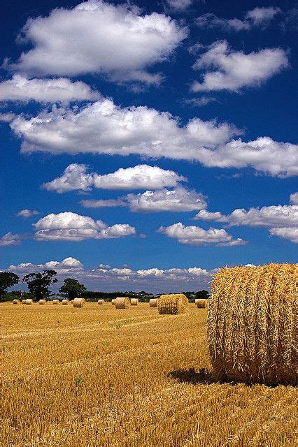 Hay Bales | Landscape photography, Landscape, Country landscaping