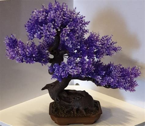 Great Purple Bonsai Tree of the decade Check it out now | earthysai