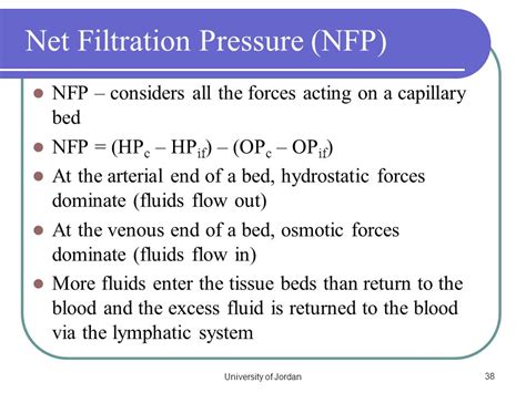 [Solved] Part G - Net Filtration Pressure at the Venous End (NFPv) of a... | Course Hero