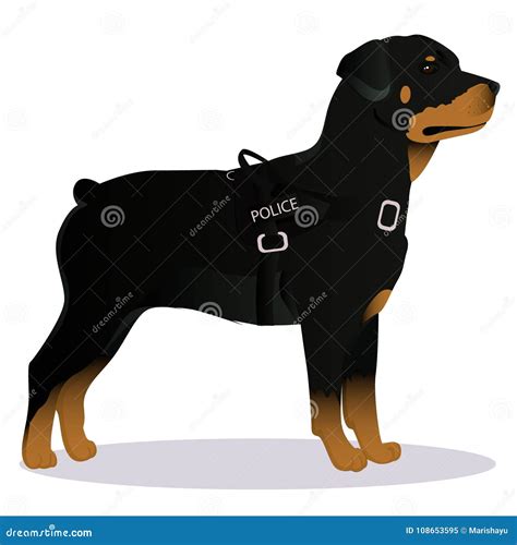 Rottweiler Police dog stock vector. Illustration of animal - 108653595