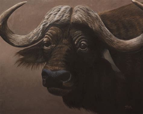 African Buffalo Painting by Tammy Taylor - Fine Art America