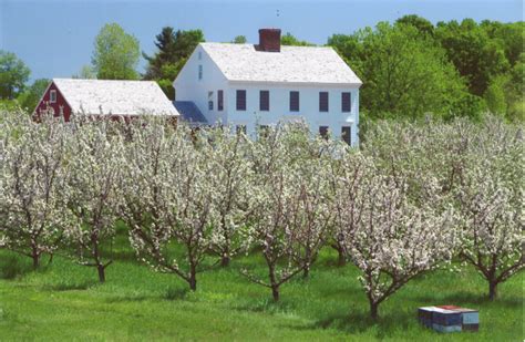 Photo Gallery | Town of Cornwall, Vermont