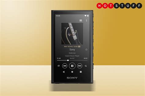 Sony Walkman family expands with new NW-A306 | Stuff