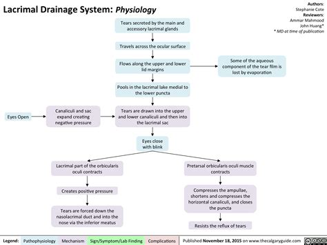 Lacrimal Drainage System