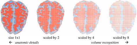 Applications of the meshing method. | Download Scientific Diagram