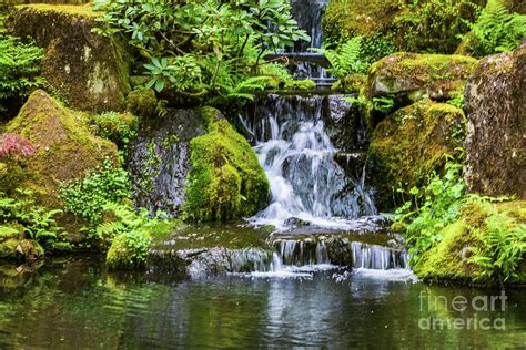 Waterfall, Portland Japanese Garden Photograph by Thomas Marchessault