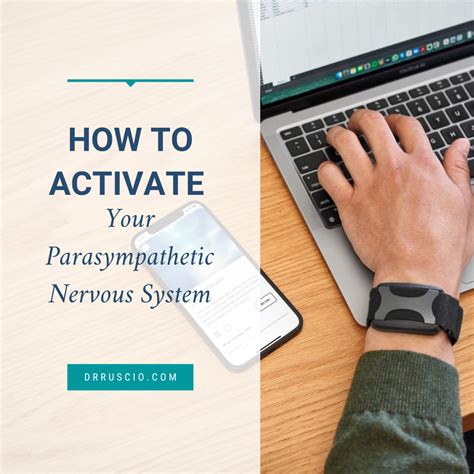 How to Activate Your Parasympathetic Nervous System - Dr. Michael Ruscio, DC