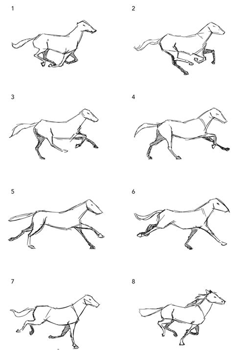 Horse Walking Animation