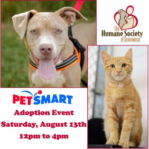 Adoptable Dogs and Cats at Petsmart Saturday, August 13th, 12pm to 4pm – The Humane Society of ...