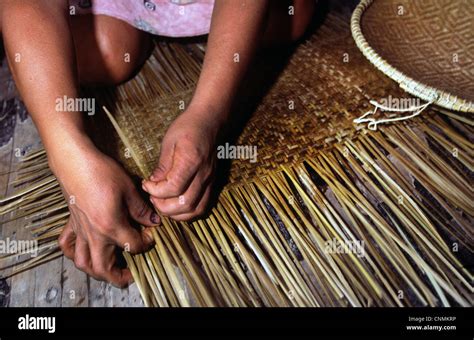 Matses tribe woman hi-res stock photography and images - Alamy