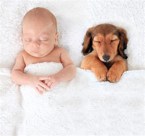 Sleeping newborn baby and puppy — Stock Photo © Hannamariah #70105625