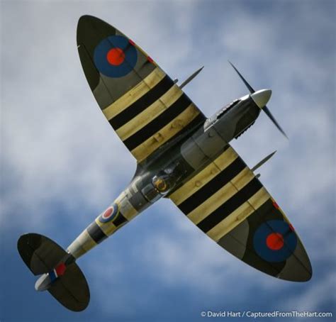 Spitfire - Model Airplane News