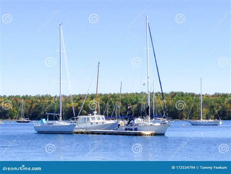 Sailboats in Maine stock photo. Image of america, luxury - 172534794