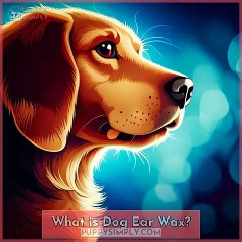 Cleaning Dog Ears: A Step-by-Step Guide for Ear Wax & Medication