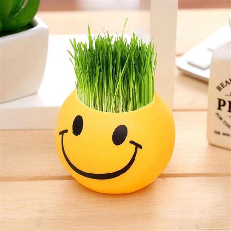 Smiley Emoji Grass In Pot Decoration (wheat grass)