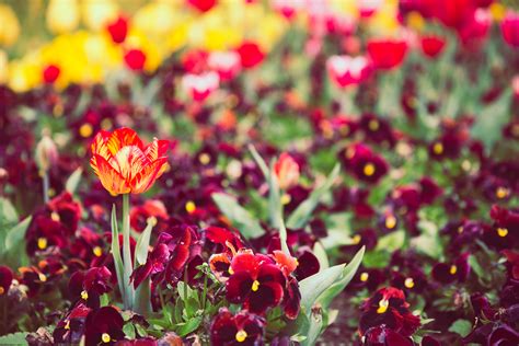 Floriade 2016 on Behance