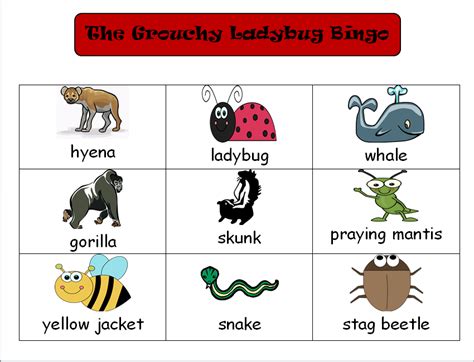 The Talking Owls: The Grouchy Ladybug