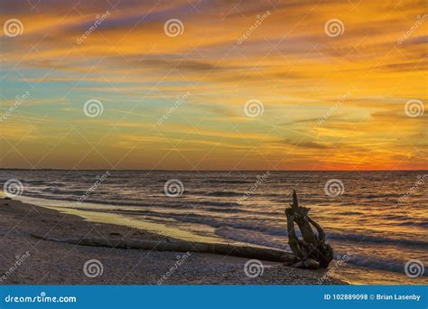 Driftwood on a Lake Huron Beach at Sunset Stock Photo - Image of huron ...