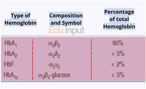 Types of Hemoglobin With Structure and Functions