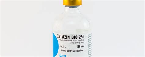 The Dangers of Xylazine Human Consumption | Banyan Chicago