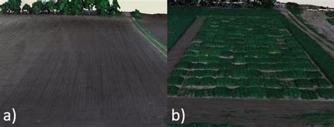 Example of (a) digital terrain model (DTM) and (b) digital surface ...