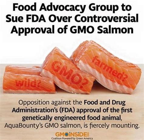 Who's saying no to GMO Salmon? — Health & Wellness — Sott.net