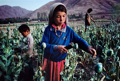 Stunning Steve McCurry Photos of Afghanistan - ABC News