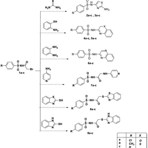 Scheme 1. Synthesis of several sulfonamide from... | Download Scientific Diagram