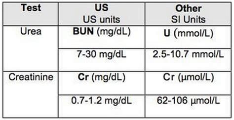 Bun/Creatinine Ratio High