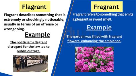 Flagrant vs. Fragrant-Difference between and examples