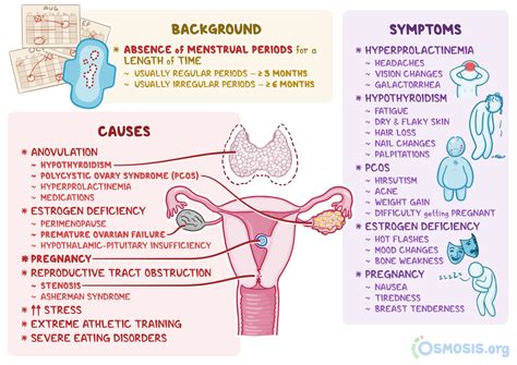 Secondary Amenorrhea: What Is It, Causes, Treatment, and More | Osmosis