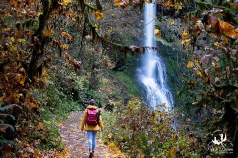 Locals Guide: Winter Falls, Oregon in Silver Falls State Park ⋆ We ...