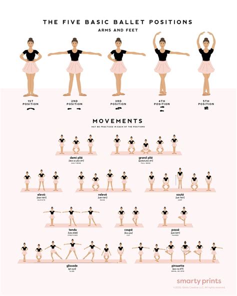 Ballet Dance Poster Ballet Positions & Movements Ballerina - Etsy