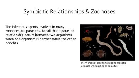 Essential Knowledge: Zoonotic Diseases - PEER Program (Youth STEM Promotion)