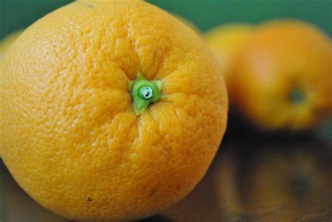 Sky Valley Heirloom Navel Orange | Fruit Maven