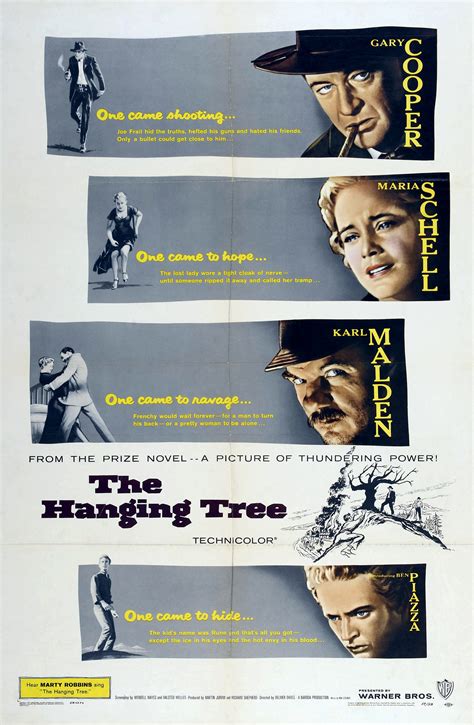 Hanging From A Tree