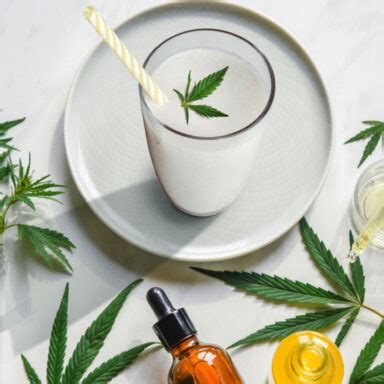 7 Best CBD Cocktails to Drink in 2023 - MyBartender