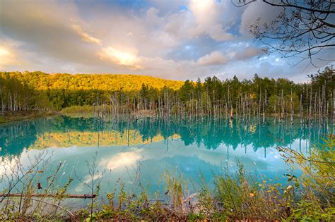 The Most Beautiful Ponds in the World | Japan Travel Bucket List | BeautifulNow