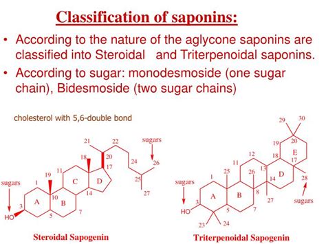 PPT - Saponin Glycosides PowerPoint Presentation - ID:5666547