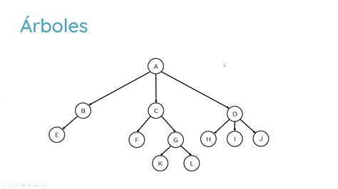 Estructura de Datos: Árboles Binarios. Conceptualización - 2 - YouTube