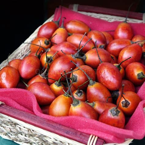 Images Organic Tamarillo Seeds (Cyphomandra betaceae) - Shipping is free for orders over €50