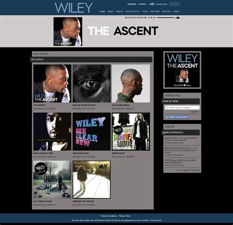 Wiley Website | Native Noise