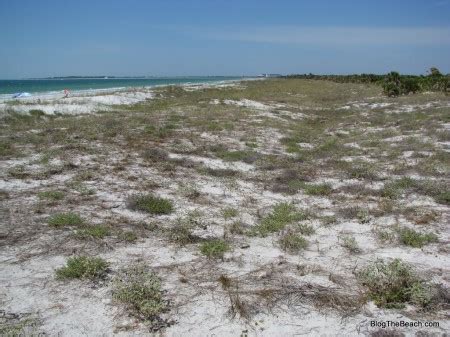 Caladesi Island, Florida | Blog The Beach