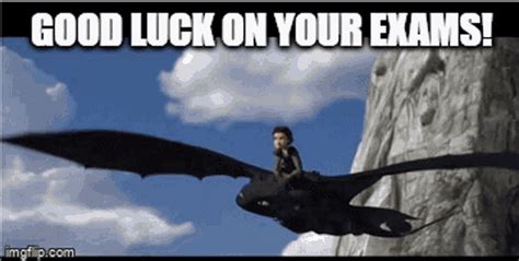 Good Luck For Exams GIF - Good Luck For Exams - Discover & Share GIFs