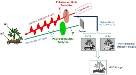 (Color online) Polarimetric imaging setup. | Download Scientific Diagram