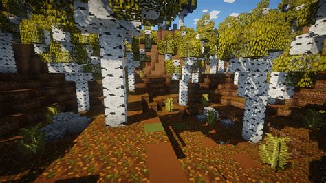 Birch Forest Minecraft Map